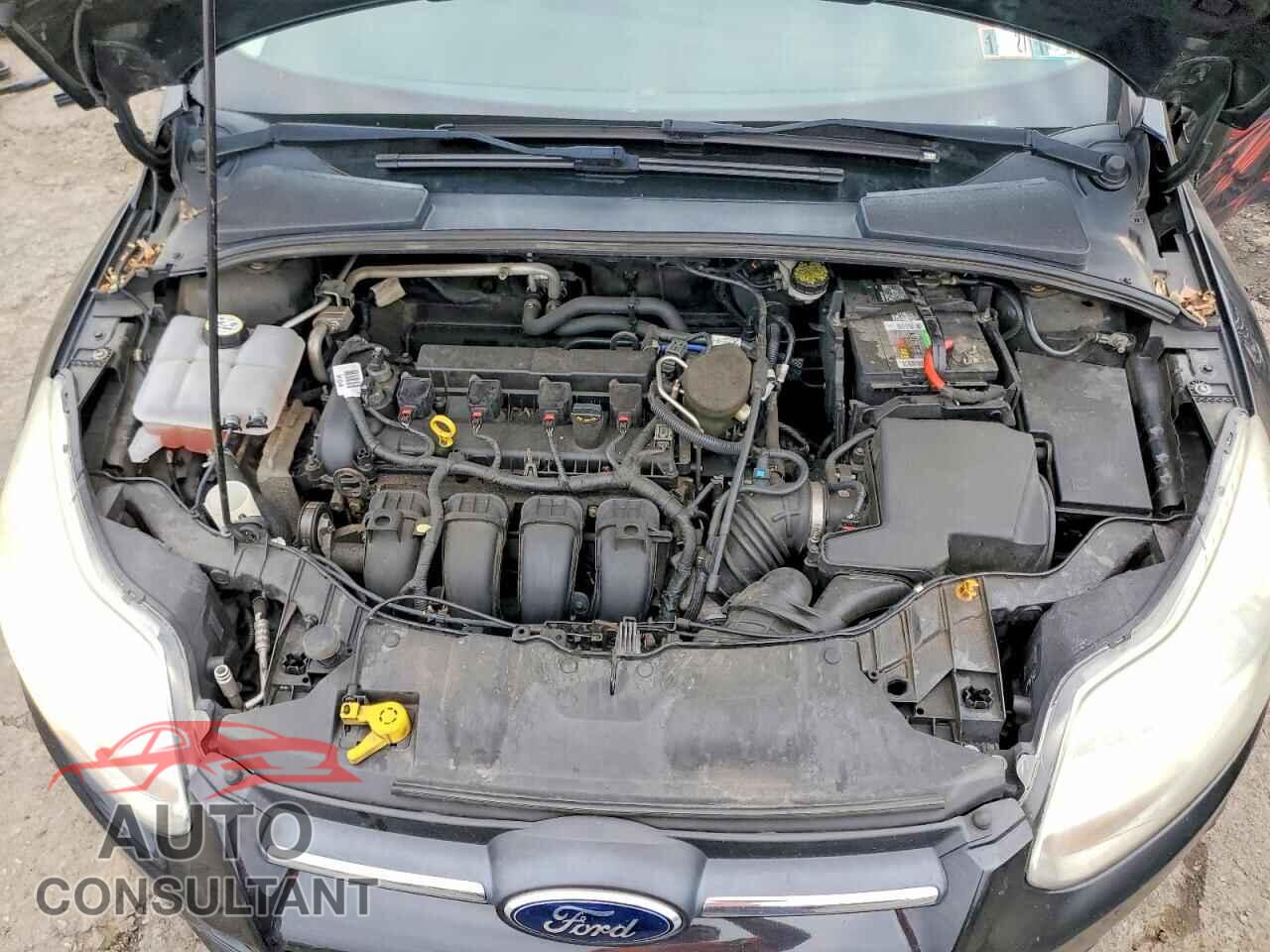FORD FOCUS 2014 - 1FADP3E24EL395045