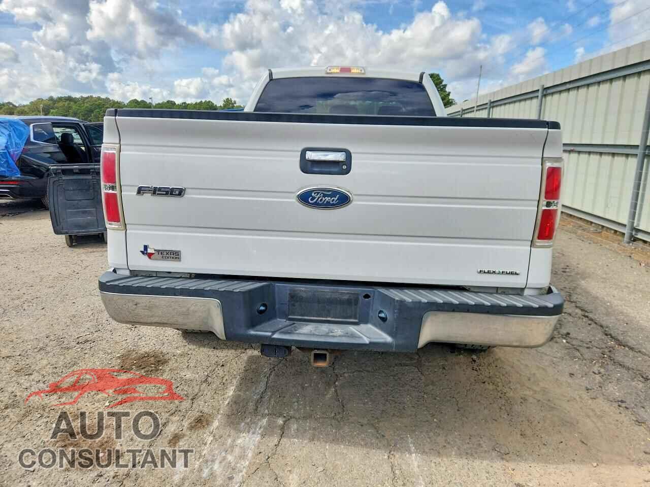 FORD F150 2011 - 1FTFX1CF4BFA40738