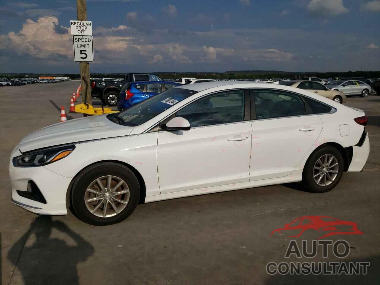 NISSAN SENTRA 2020 - 3N1AB8CV1LY268928