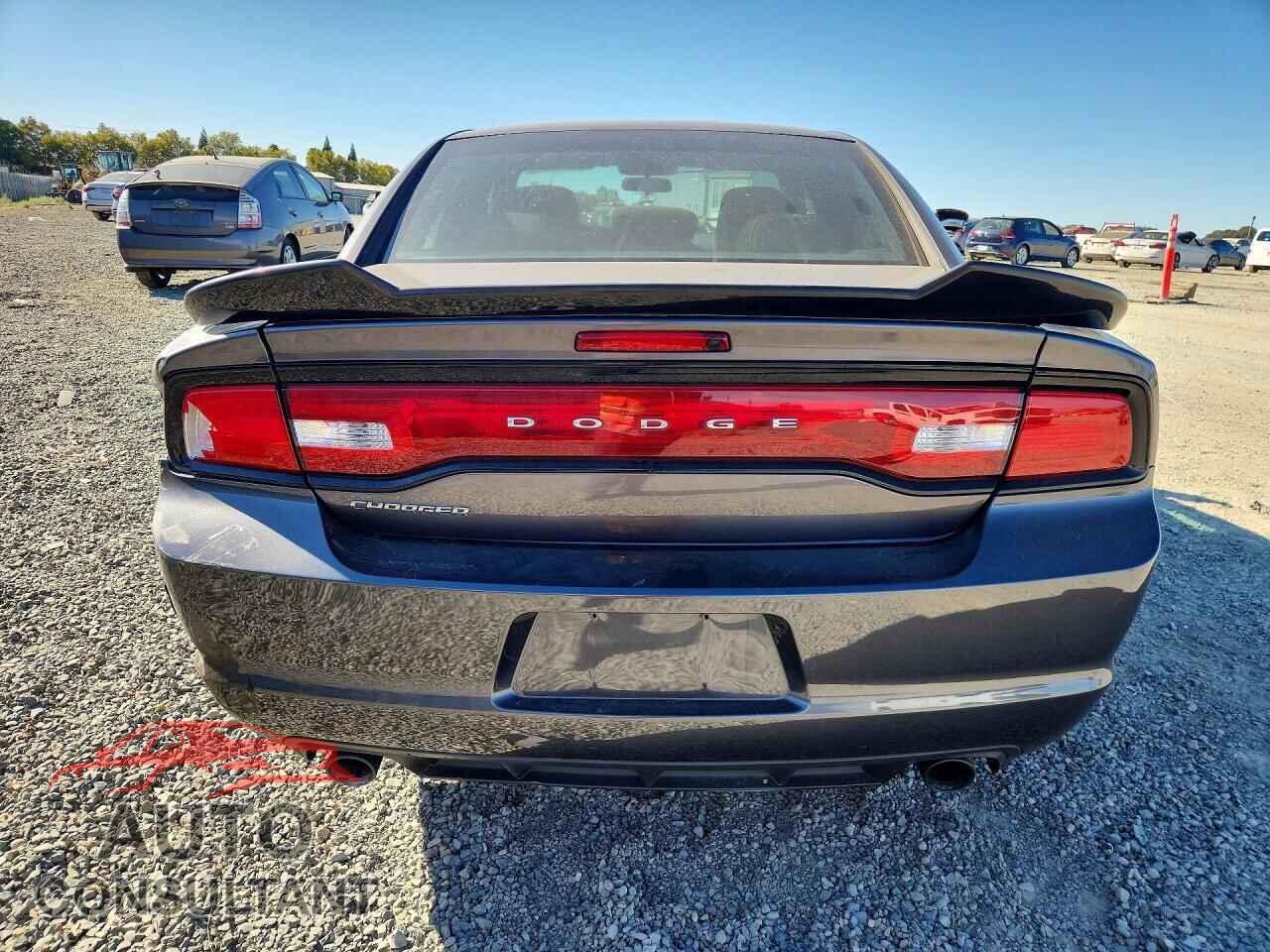 DODGE CHARGER 2013 - 2C3CDXBGXDH742903