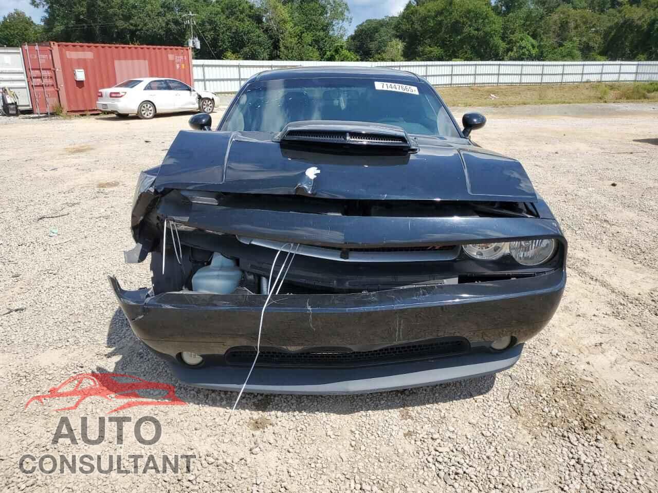 DODGE CHALLENGER 2013 - 2C3CDYBT3DH615946