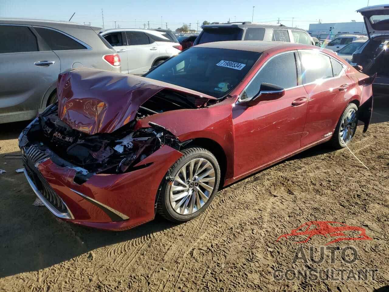 LEXUS ES300 2019 - 58AB21B14KU002347