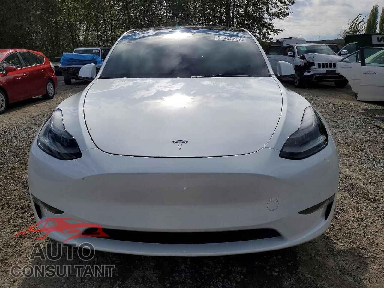 TESLA MODEL Y 2023 - 7SAYGDEE2PF662882