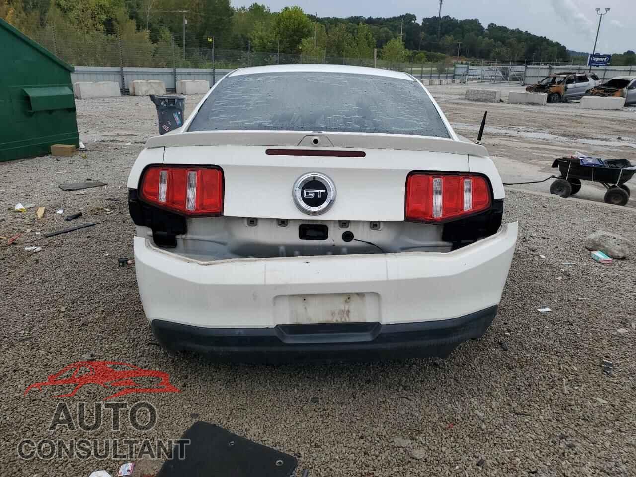 FORD MUSTANG 2010 - 1ZVBP8CH7A5115569