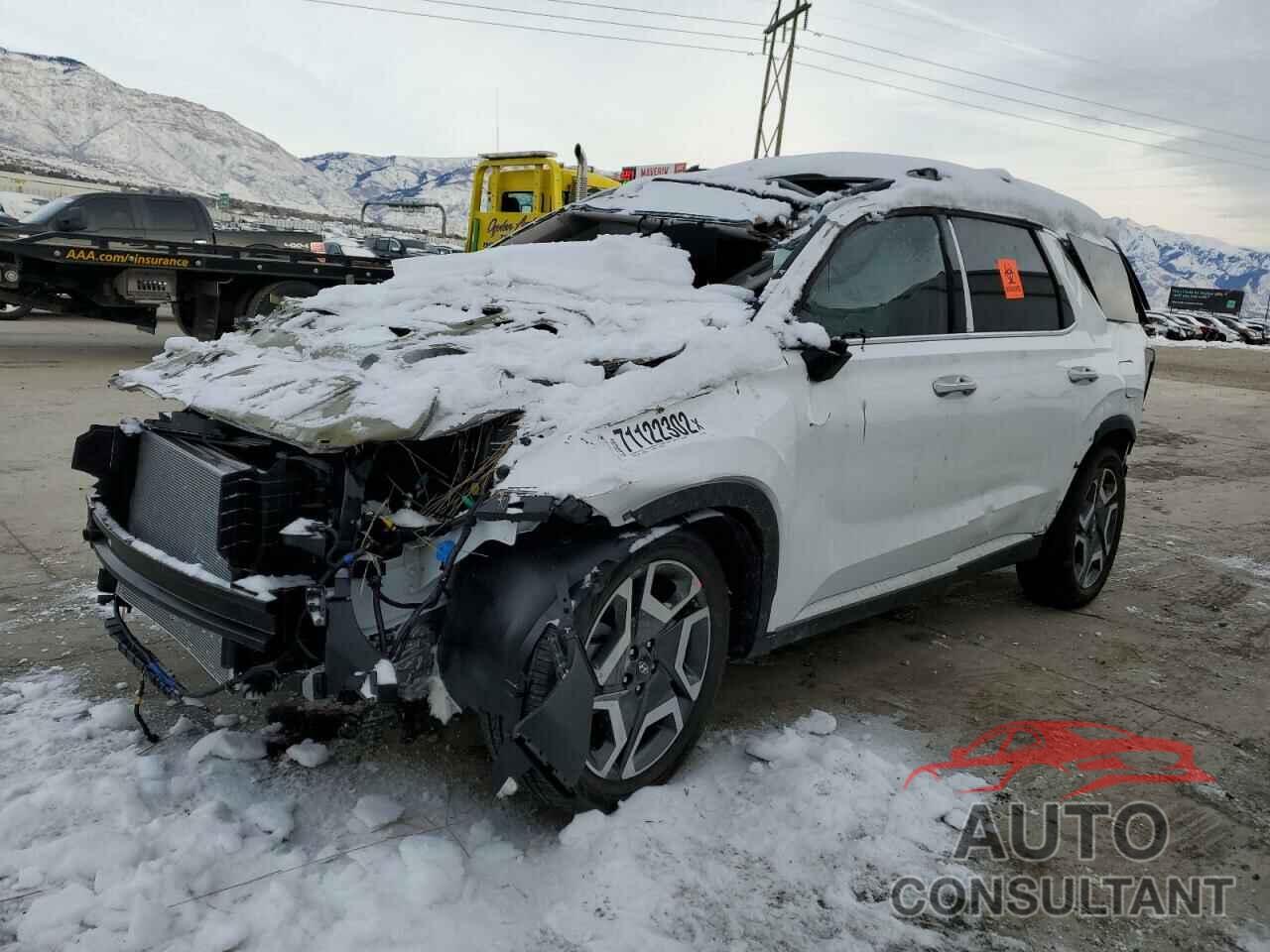 HYUNDAI PALISADE 2023 - KM8R4DGE2PU536757