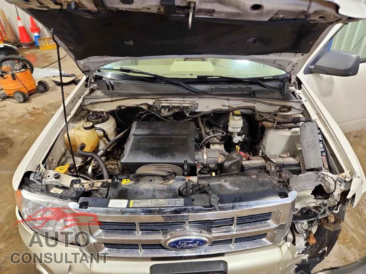 FORD ESCAPE 2010 - 1FMCU0EG6AKD30458