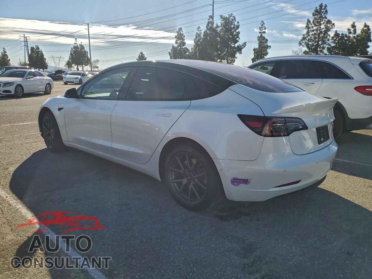 TESLA MODEL 3 2019 - 5YJ3E1EB6KF150486