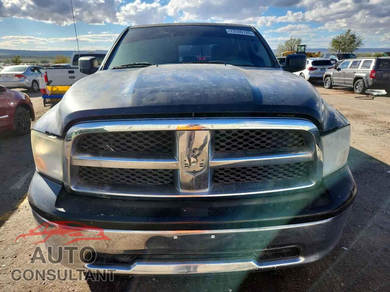 DODGE RAM 1500 2011 - 1D7RV1GP2BS616135