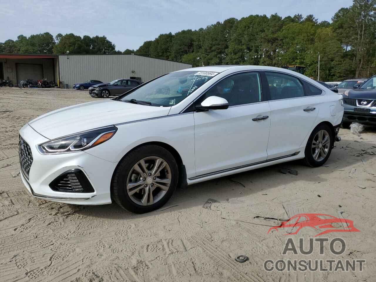 HYUNDAI SONATA 2019 - 5NPE34AF1KH785142