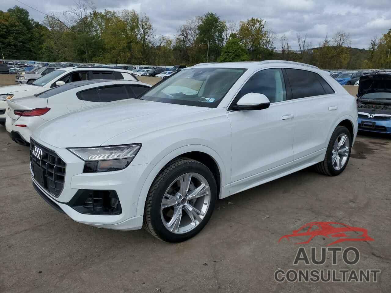 AUDI Q8 2023 - WA1BVBF19PD001070