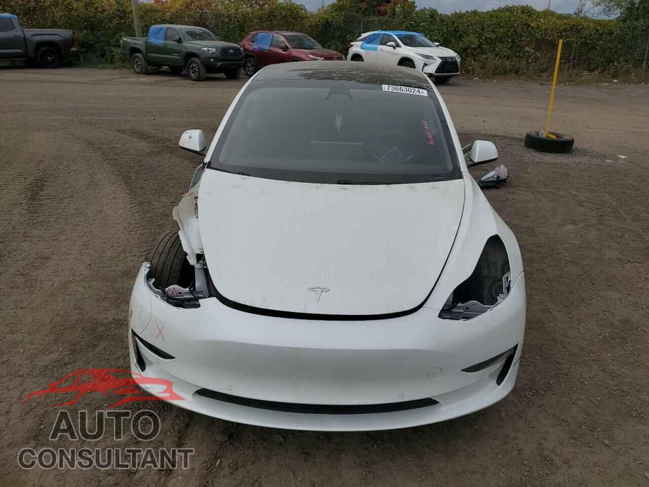 TESLA MODEL 3 2021 - 5YJ3E1EA7MF031002