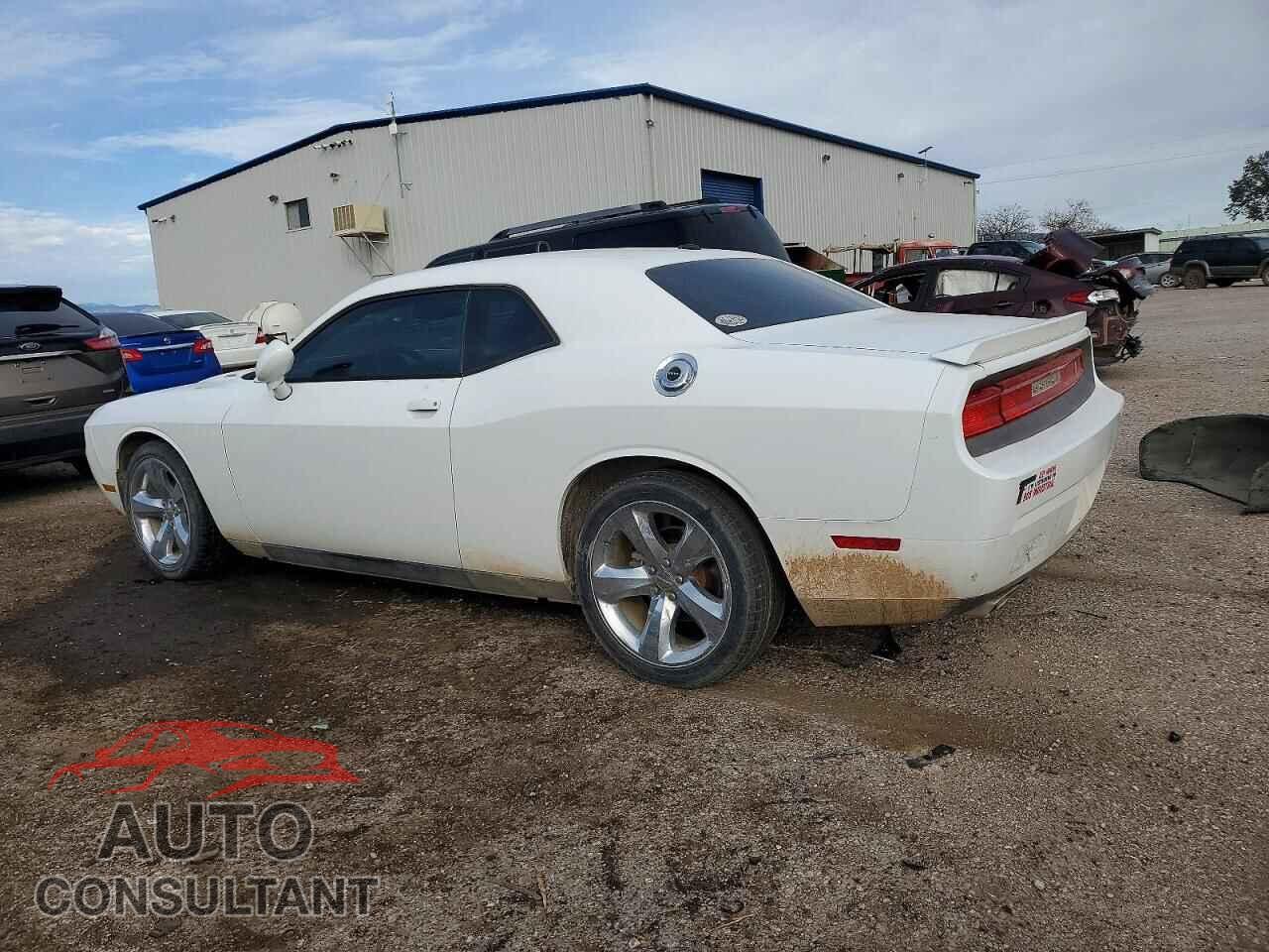 DODGE CHALLENGER 2014 - 2C3CDYBT0EH101358