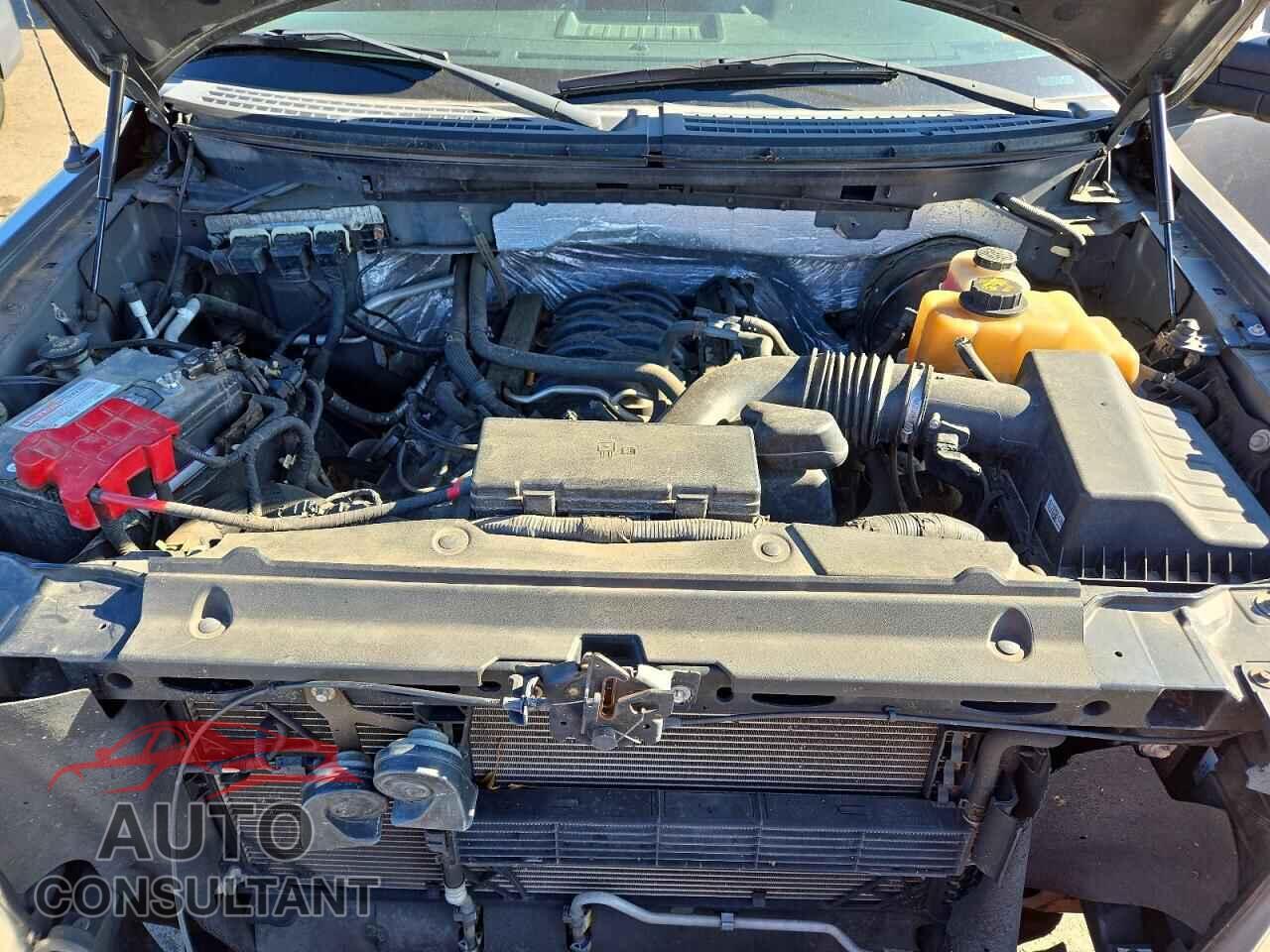 FORD F150 2013 - 1FTFW1CF8DFA12043