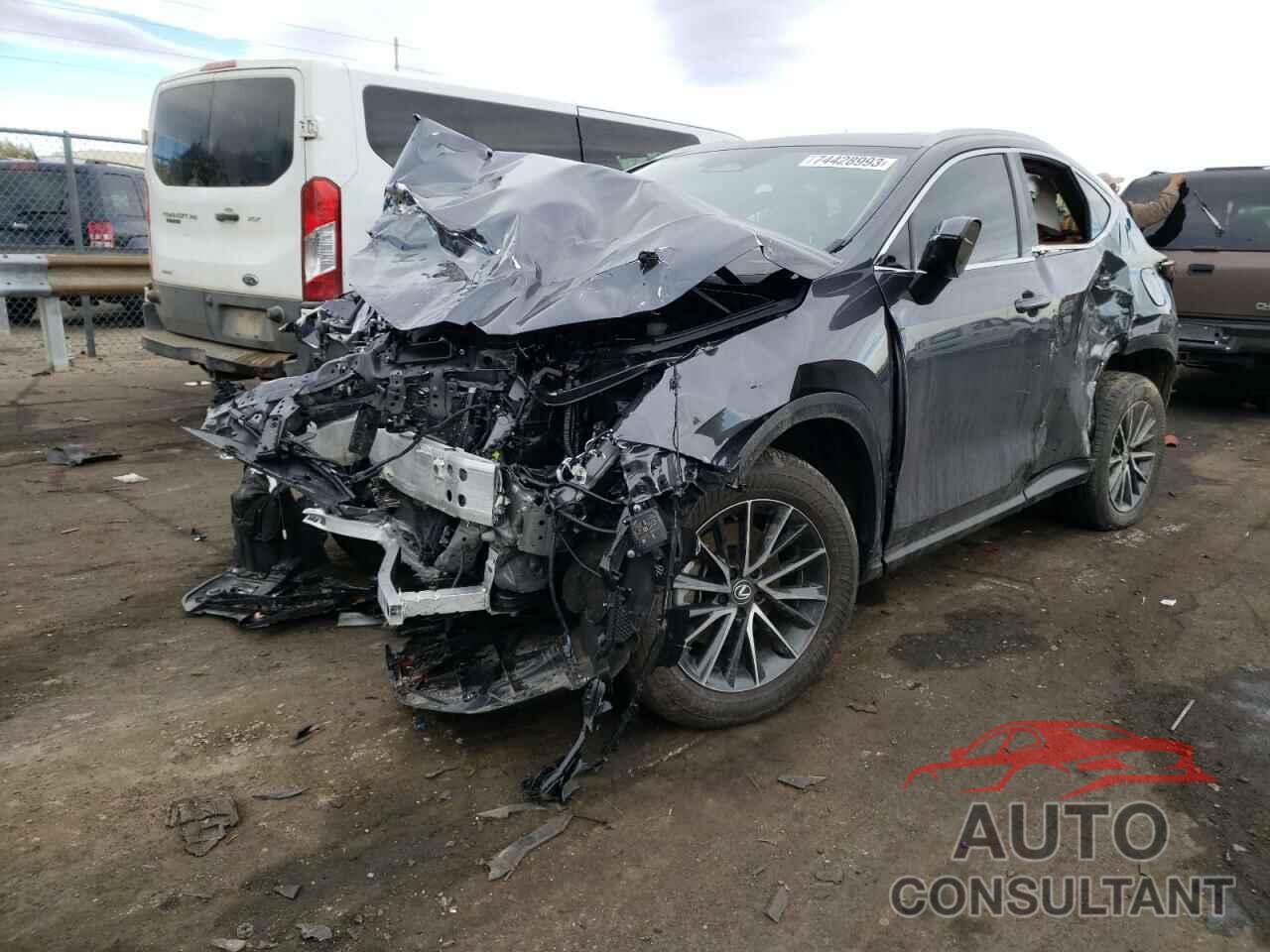 LEXUS NX 350 PRE 2024 - 2T2GGCEZ5RC034842