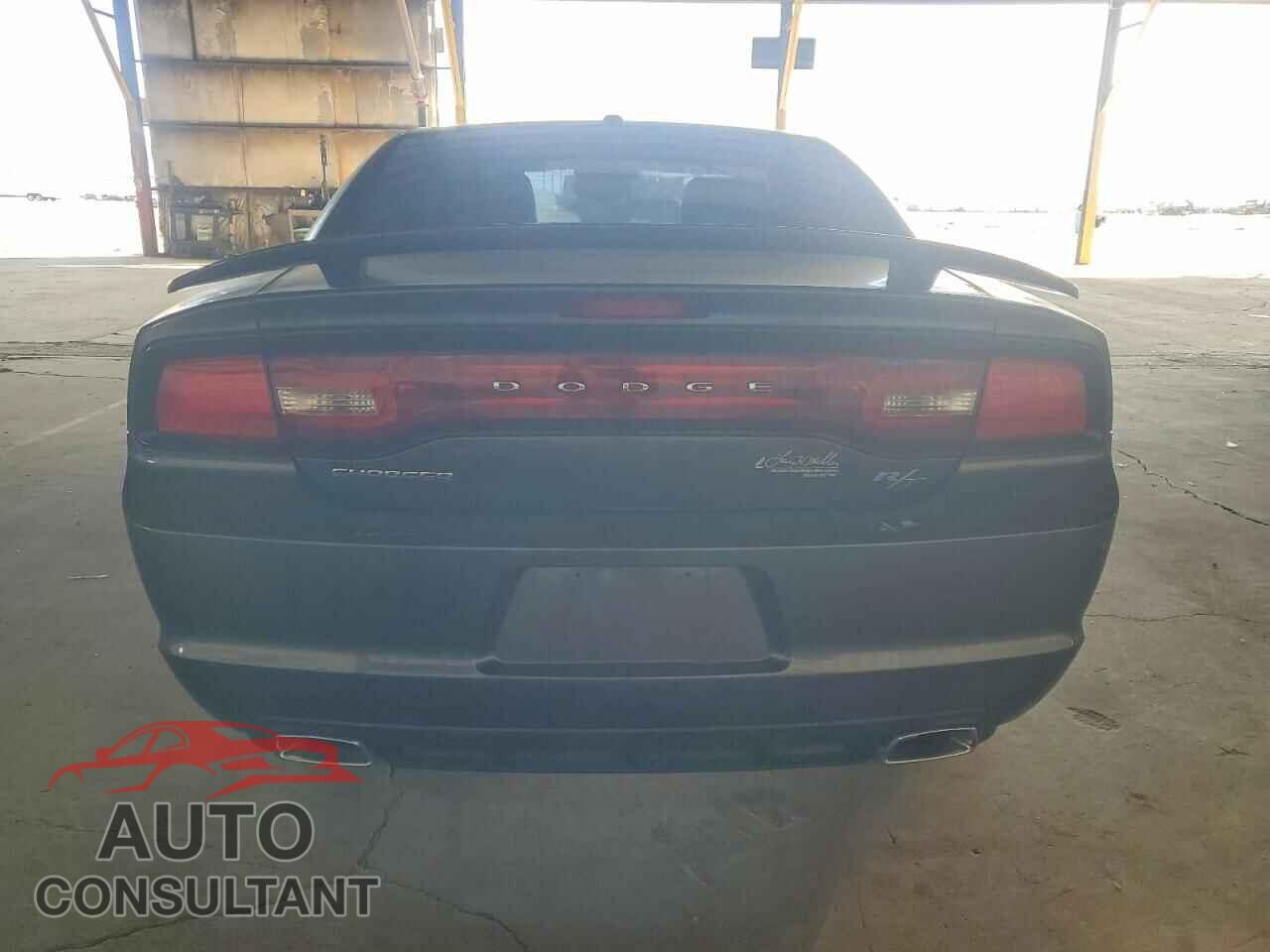 DODGE CHARGER 2013 - 2C3CDXCT2DH701192