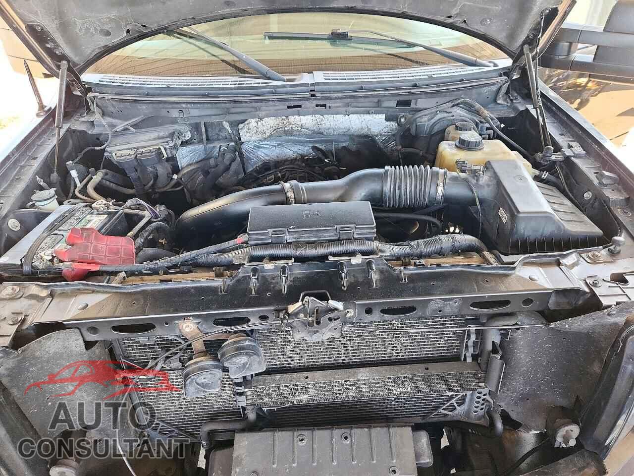 FORD F150 2012 - 1FTFW1ET4CFB13369