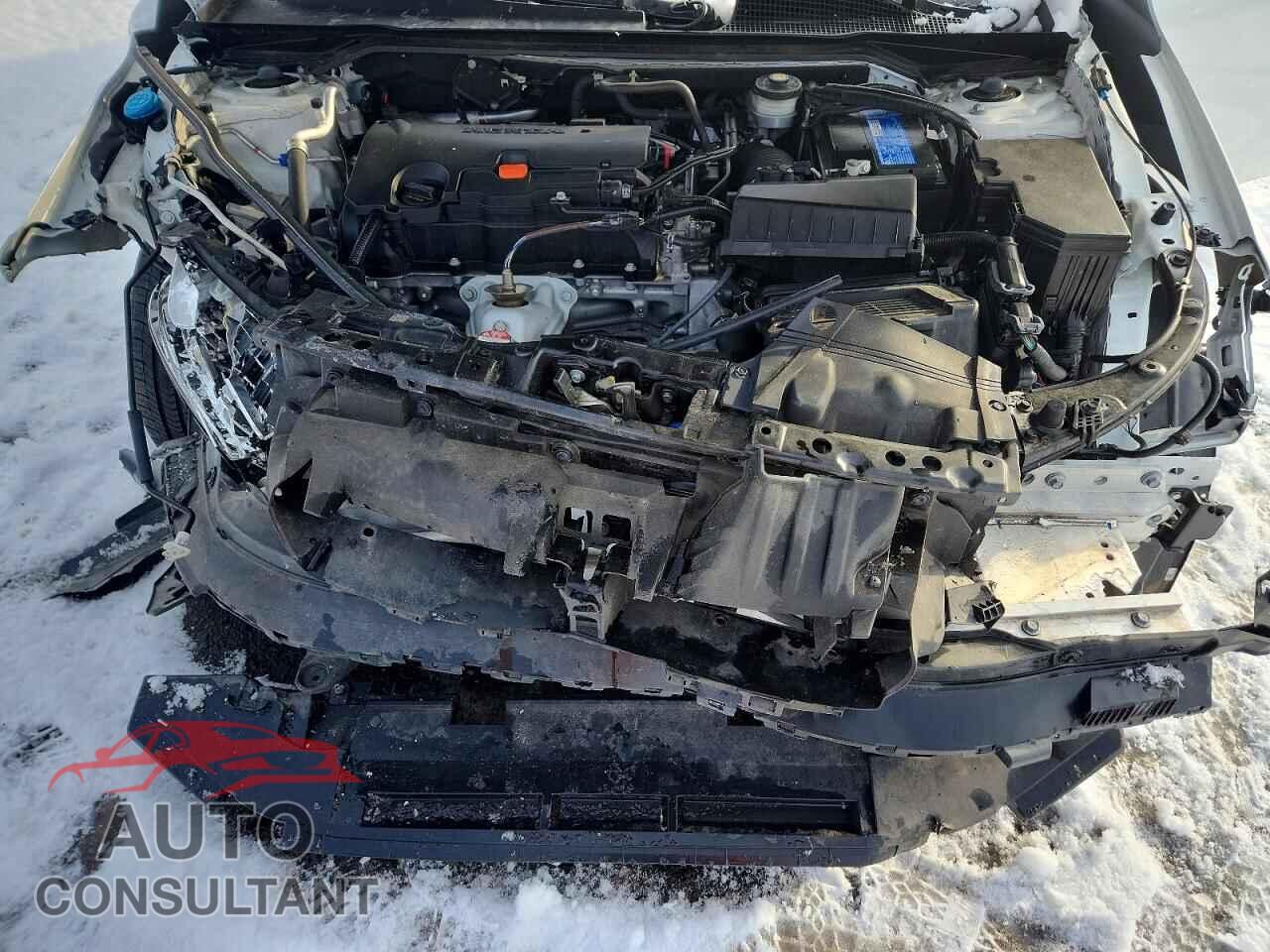 HONDA CIVIC 2023 - 2HGFE2F52PH505426