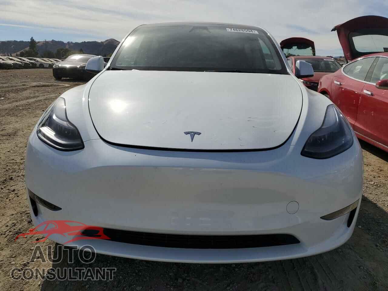 TESLA MODEL Y 2024 - 7SAYGDED2RF191388
