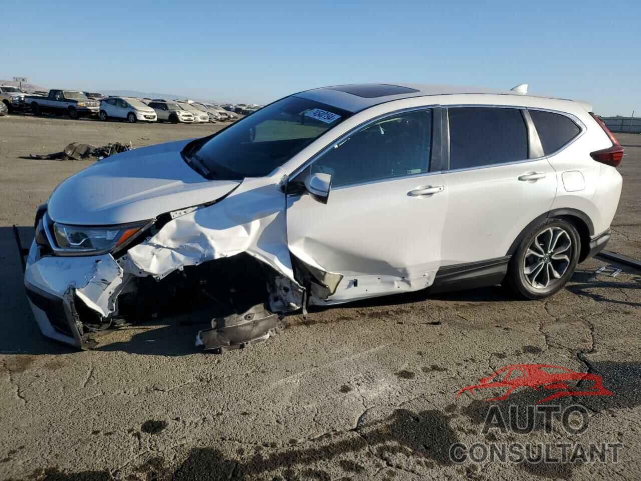 HONDA CRV 2022 - 5J6RW1H55NA018307