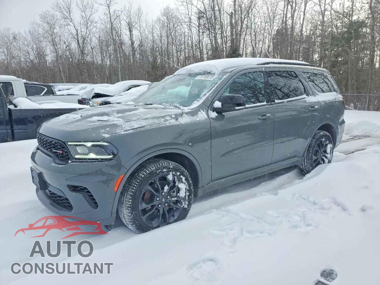 DODGE DURANGO 2024 - 1C4RDJDG6RC241730