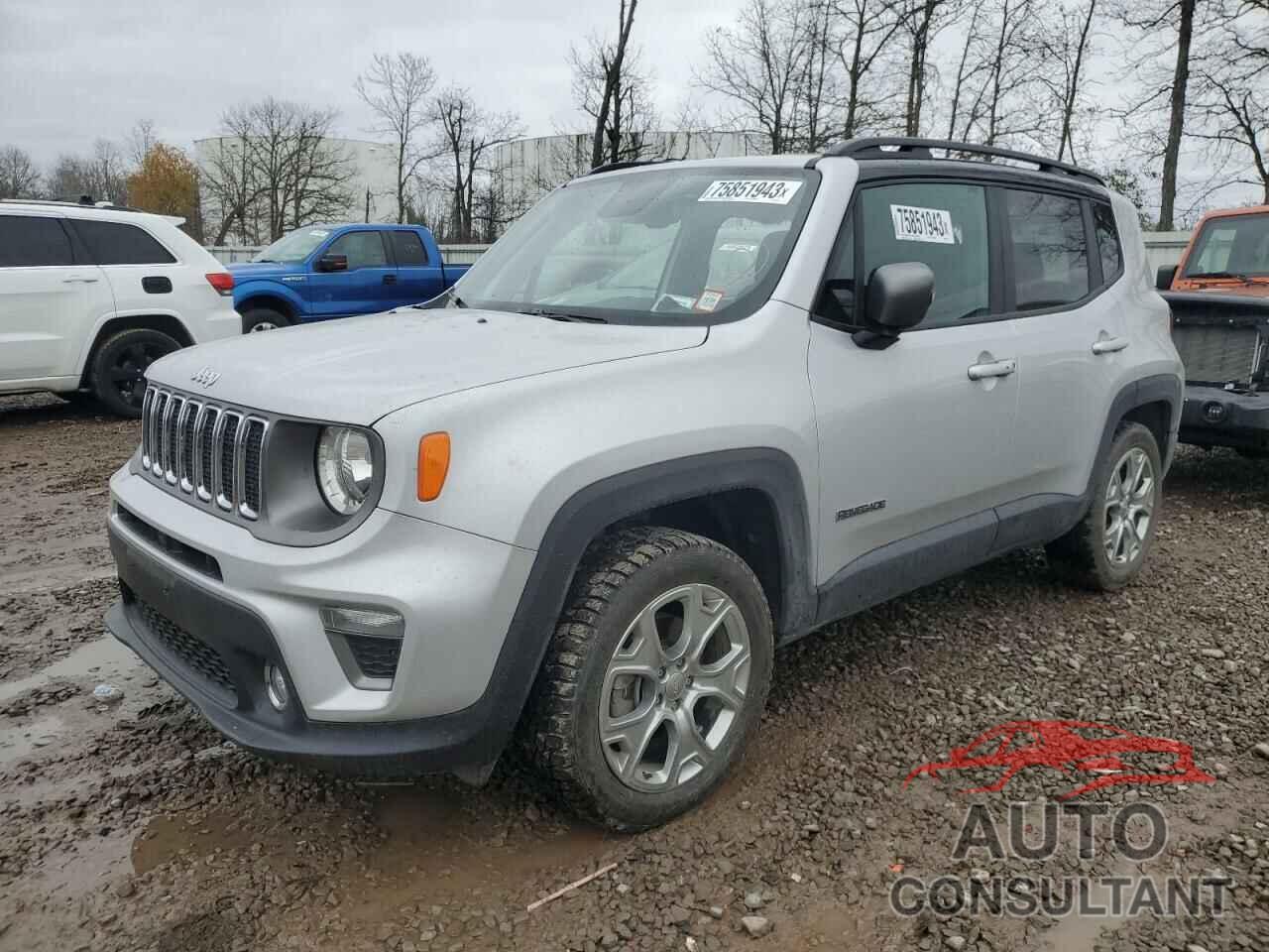 JEEP RENEGADE 2020 - ZACNJBD11LPL70614