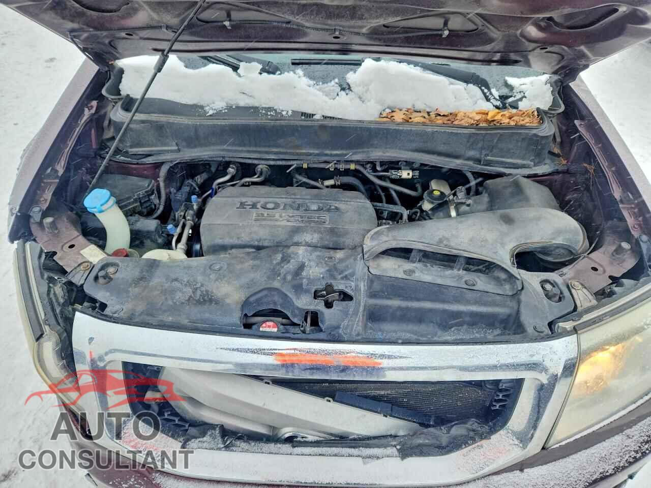 HONDA PILOT 2011 - 5FNYF4H51BB082432