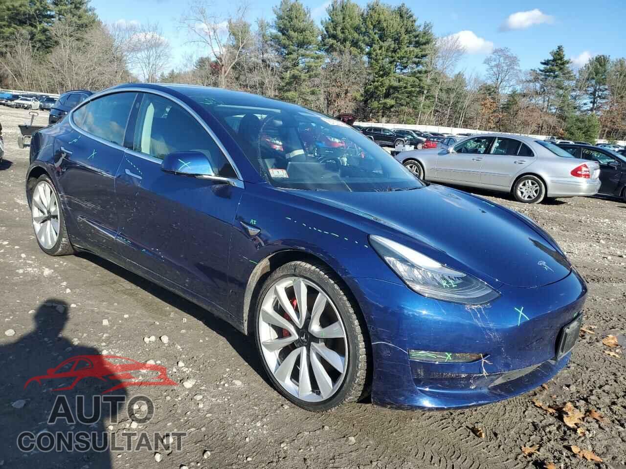 TESLA MODEL 3 2019 - 5YJ3E1EB7KF393059