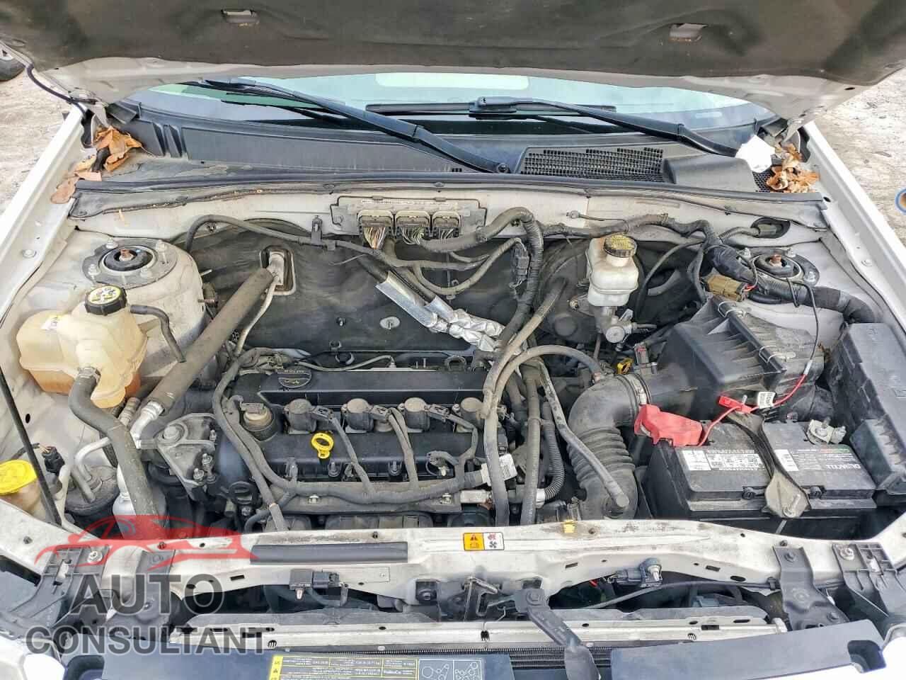 FORD ESCAPE 2010 - 1FMCU0D72AKA79178