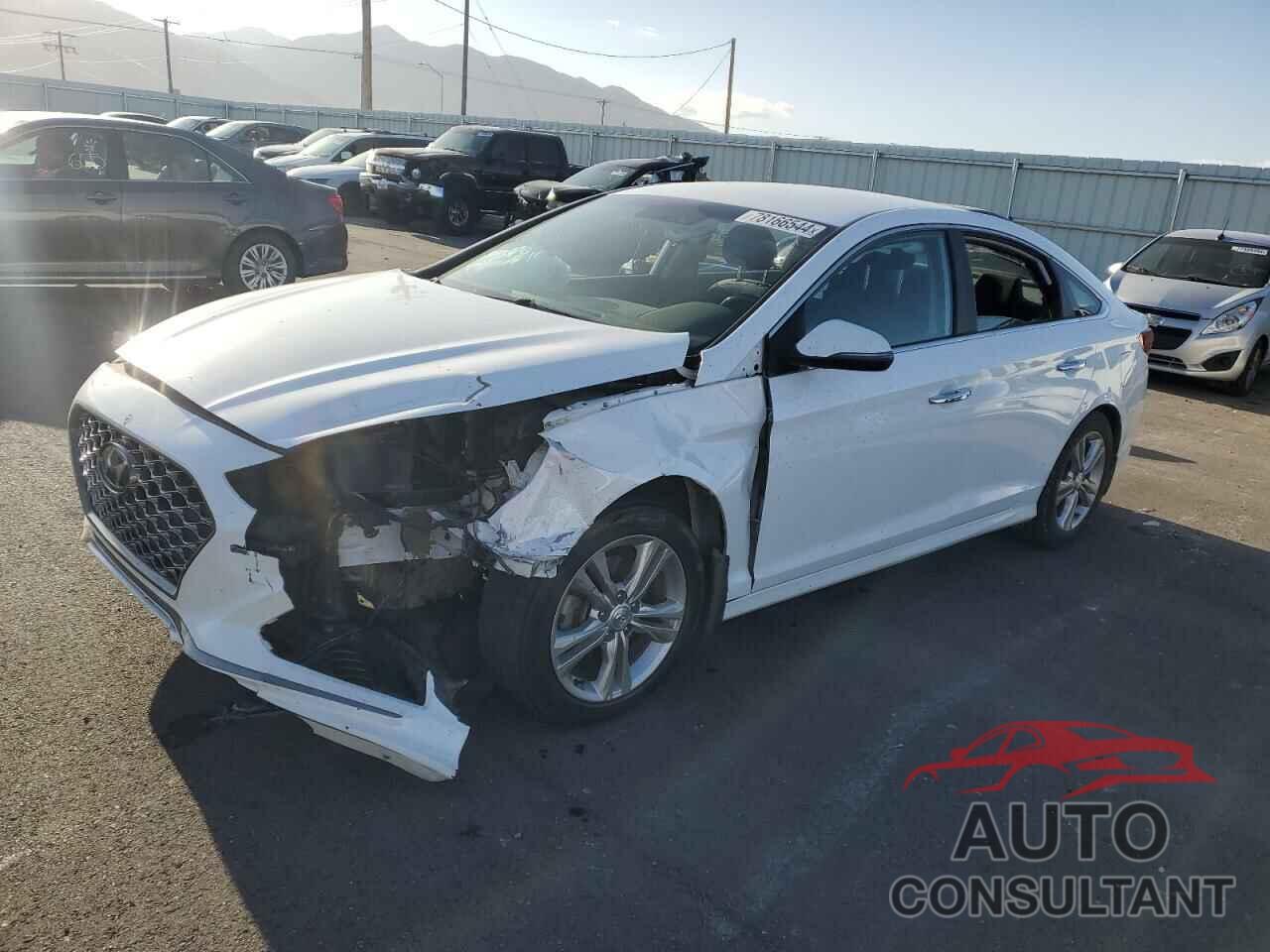 HYUNDAI SONATA 2019 - 5NPE34AF9KH790931