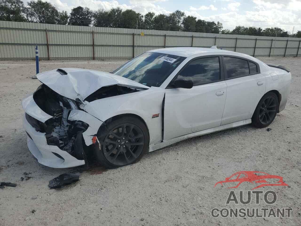 DODGE CHARGER 2023 - 2C3CDXGJ2PH701853