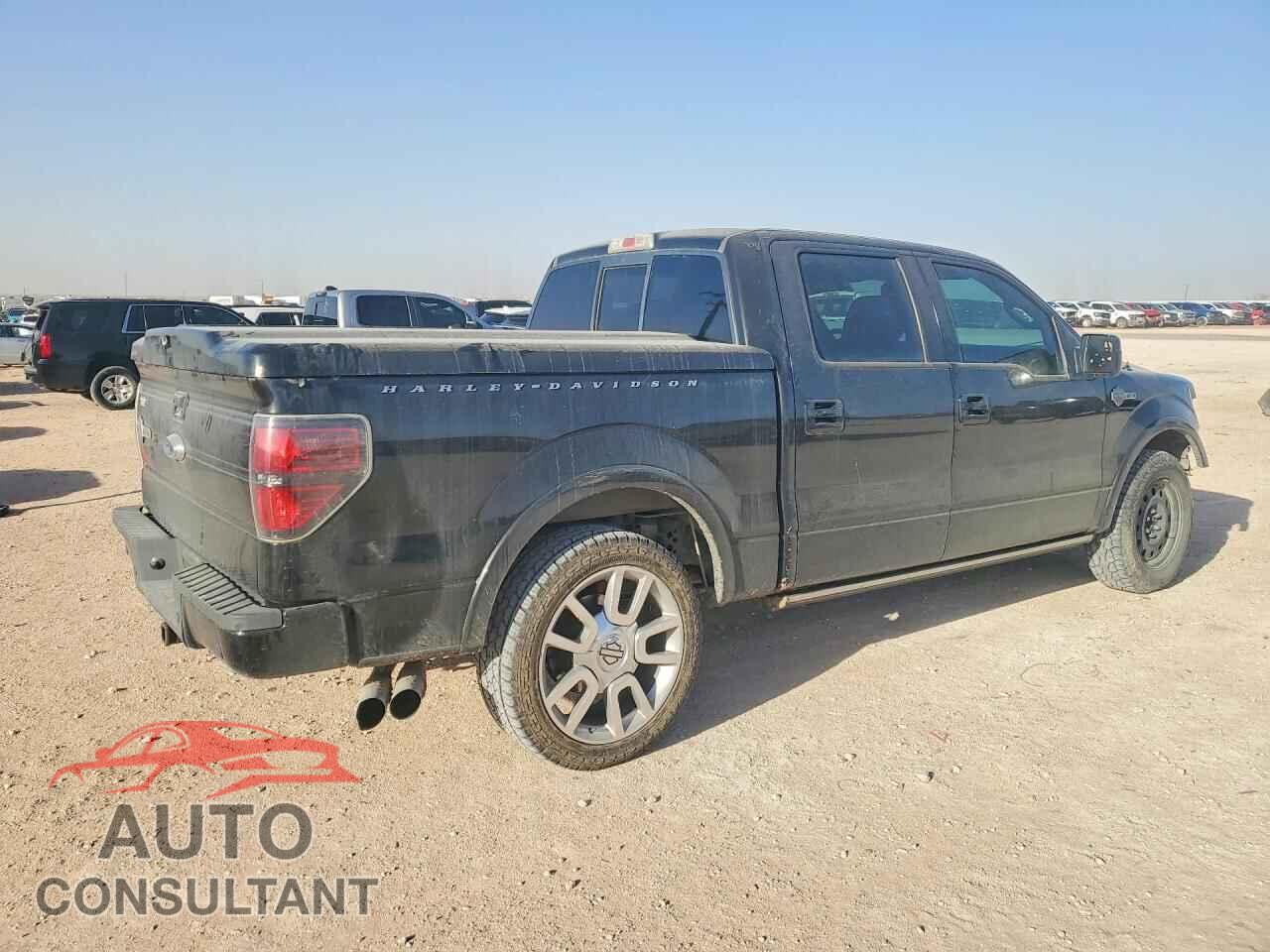 FORD F-150 2011 - 1FTFW1C60BFA43820