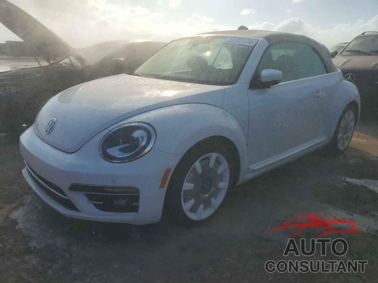 VOLKSWAGEN BEETLE 2019 - 3VW5DAAT2KM501414