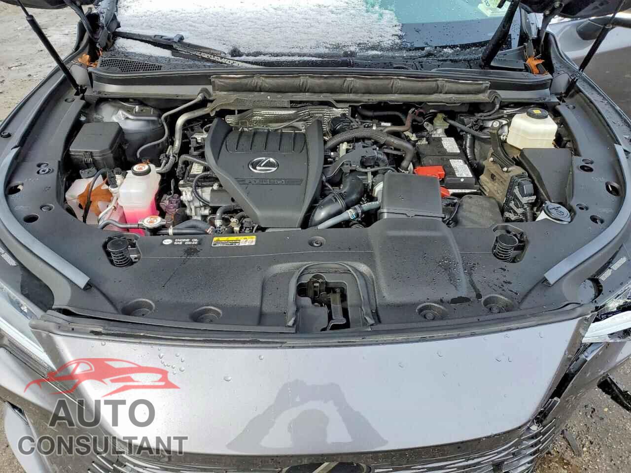 LEXUS RX350 2023 - 2T2BAMCA2PC021414