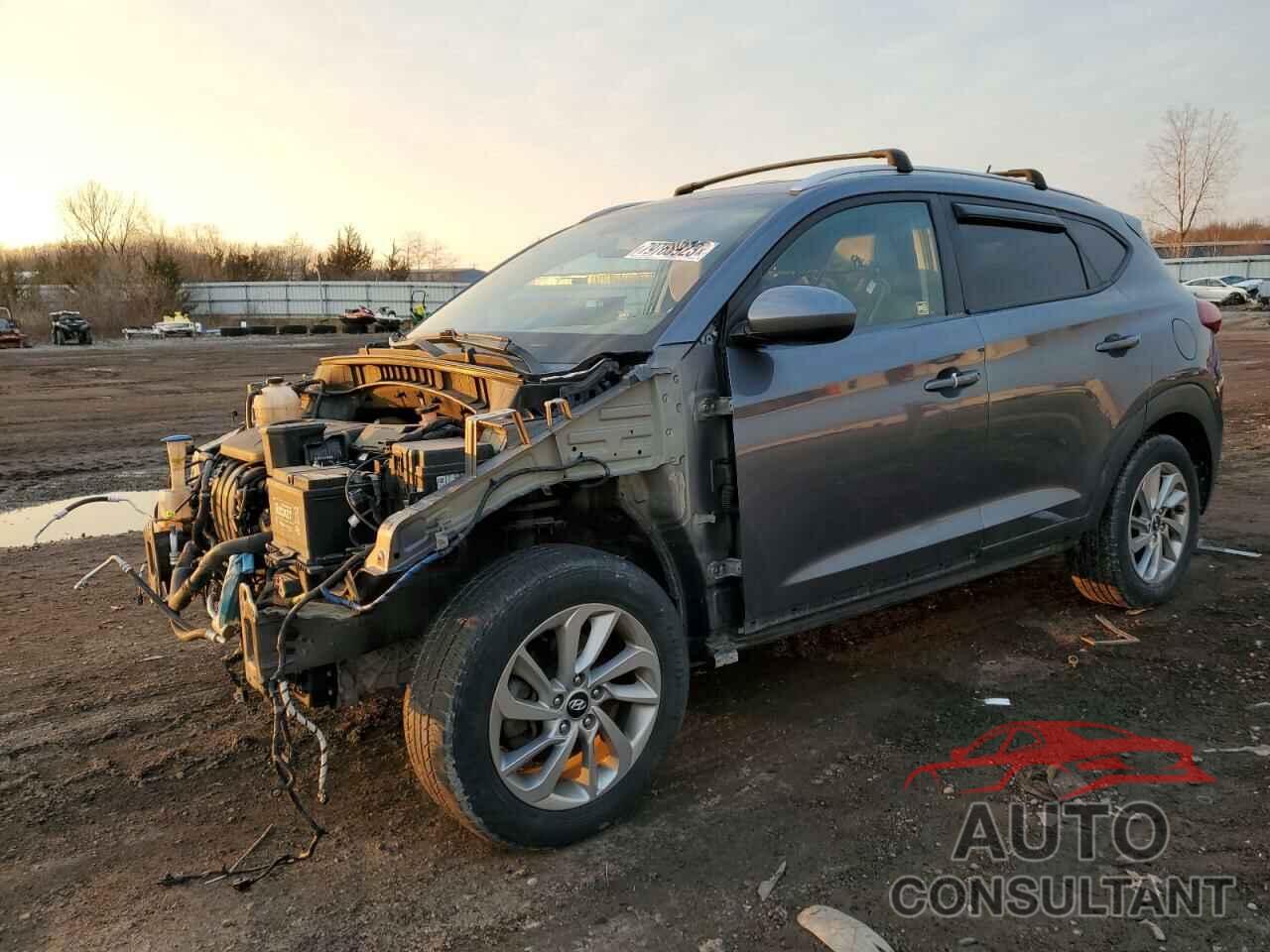 HYUNDAI TUCSON 2017 - KM8J3CA44HU252056