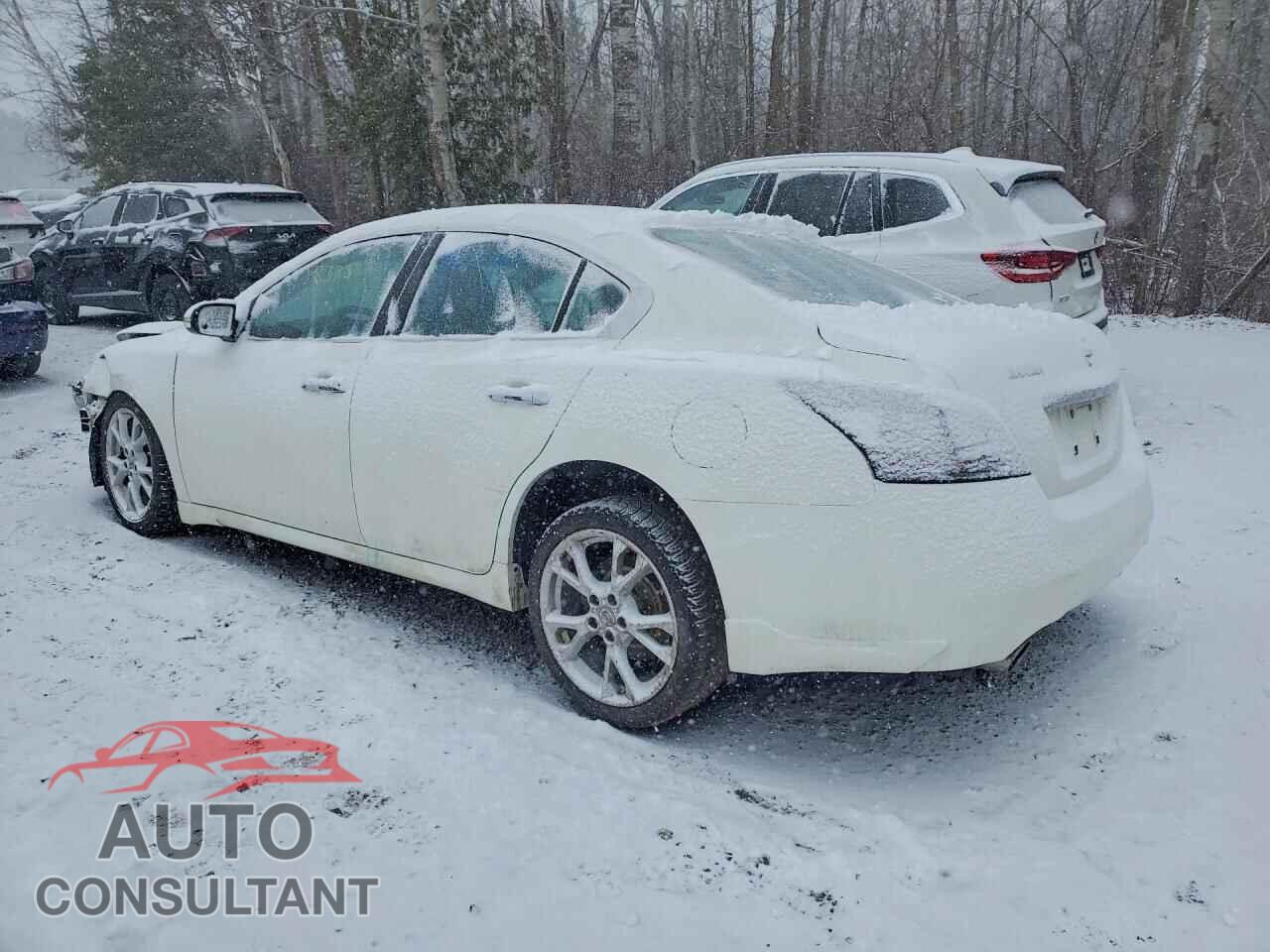 NISSAN MAXIMA 2013 - 1N4AA5AP1DC833827