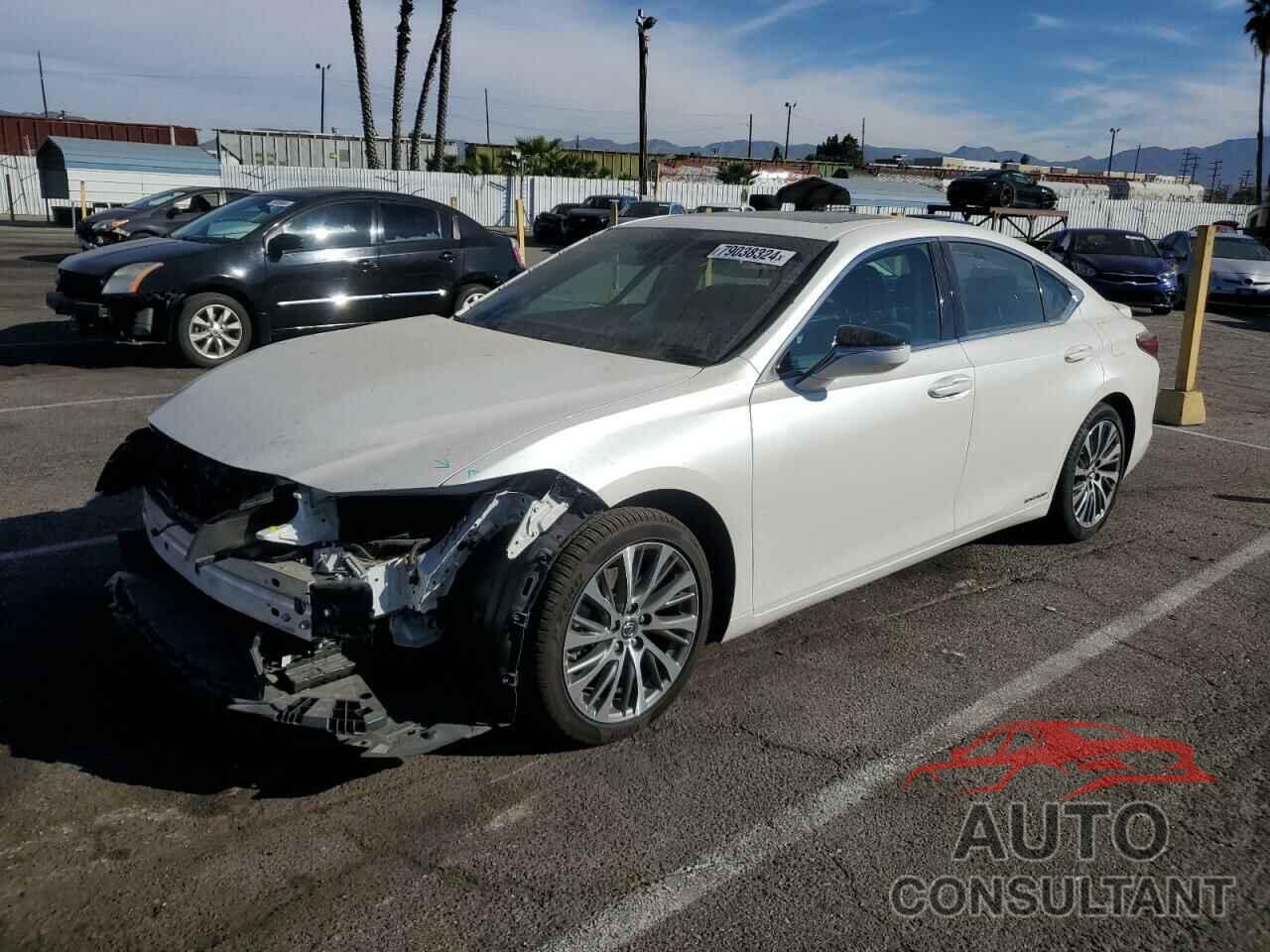 LEXUS ES300 2019 - 58AB21B15KU001353