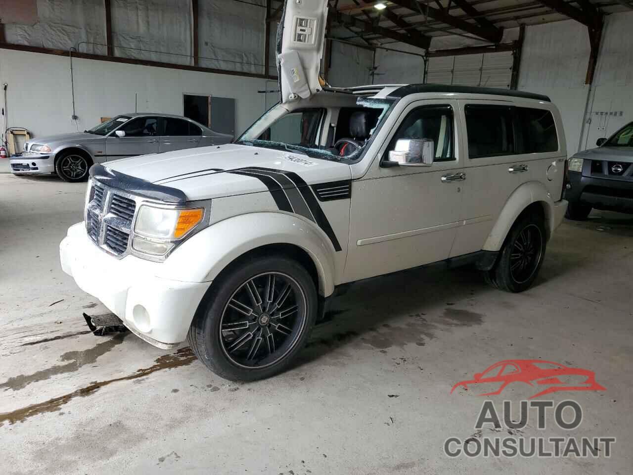 DODGE NITRO 2009 - 1D8GU28K29W537808