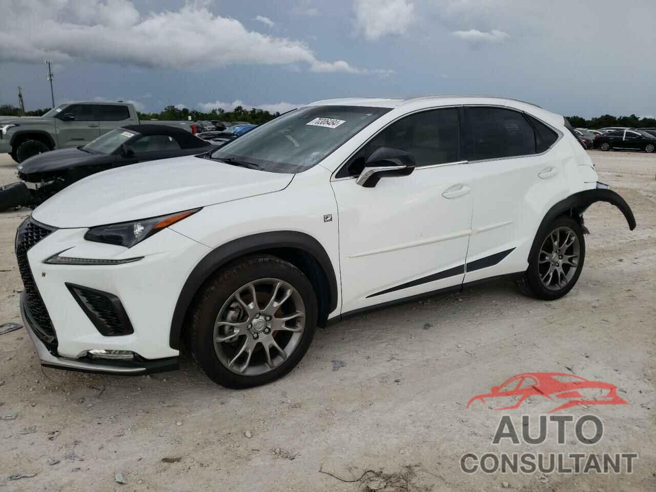 LEXUS NX 2019 - JTJYARBZ6K2150103