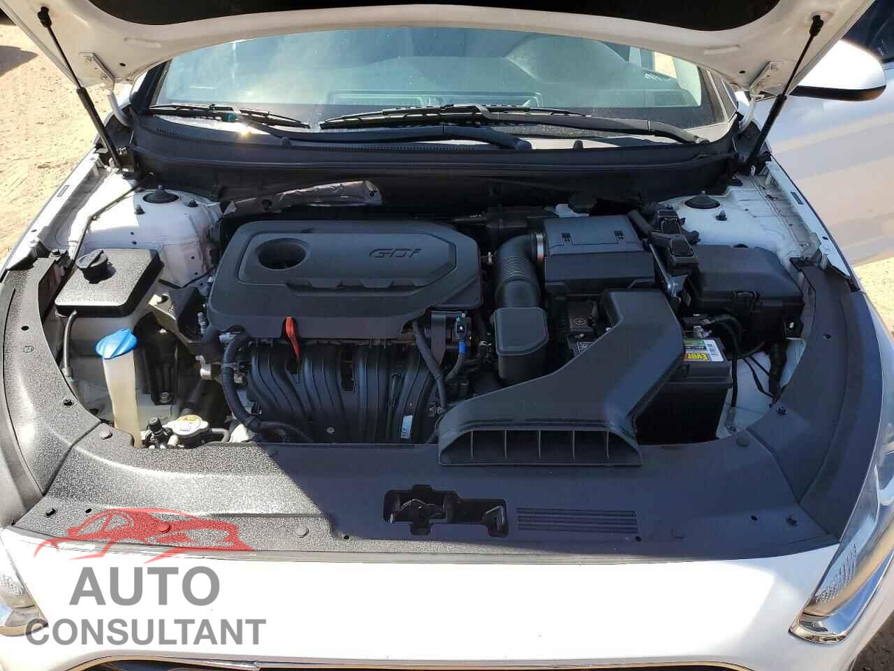 HYUNDAI SONATA 2019 - 5NPE24AF8KH801422