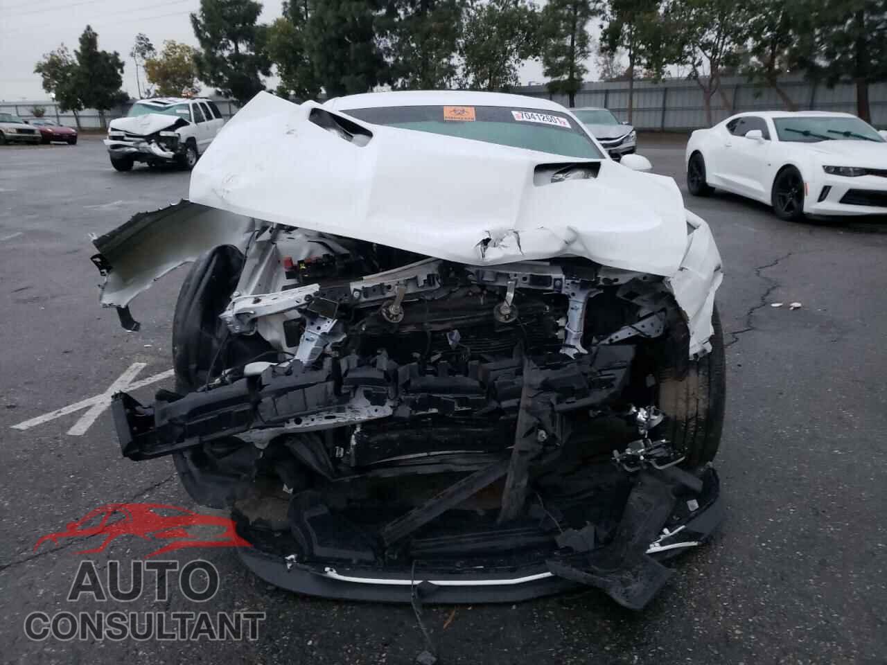 DODGE CHALLENGER 2019 - 2C3CDZAG4KH583757