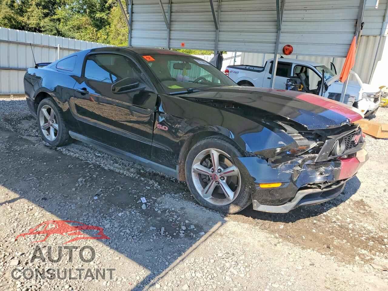 FORD MUSTANG 2011 - 1ZVBP8CF9B5110096