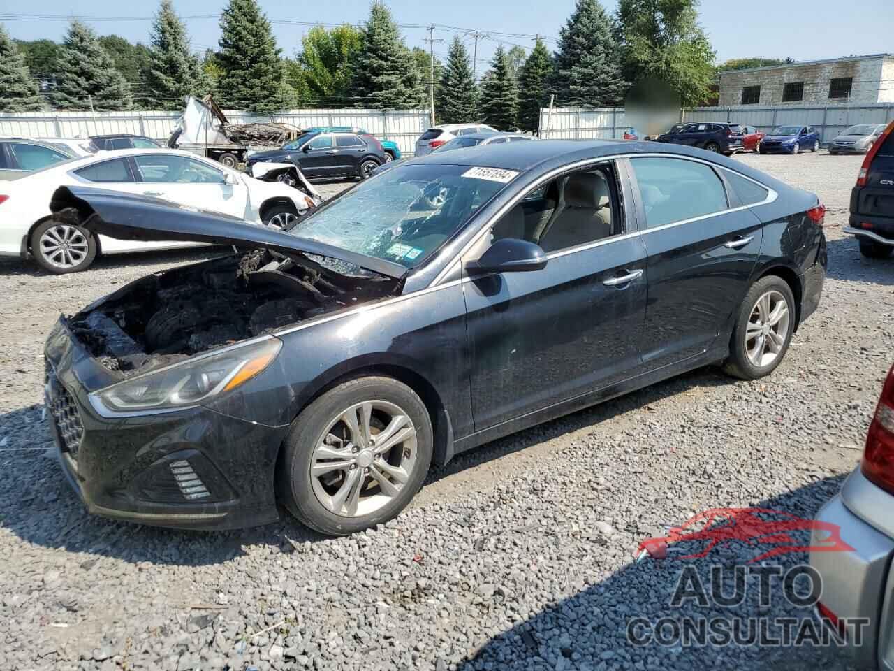 HYUNDAI SONATA 2019 - 5NPE34AF1KH730416