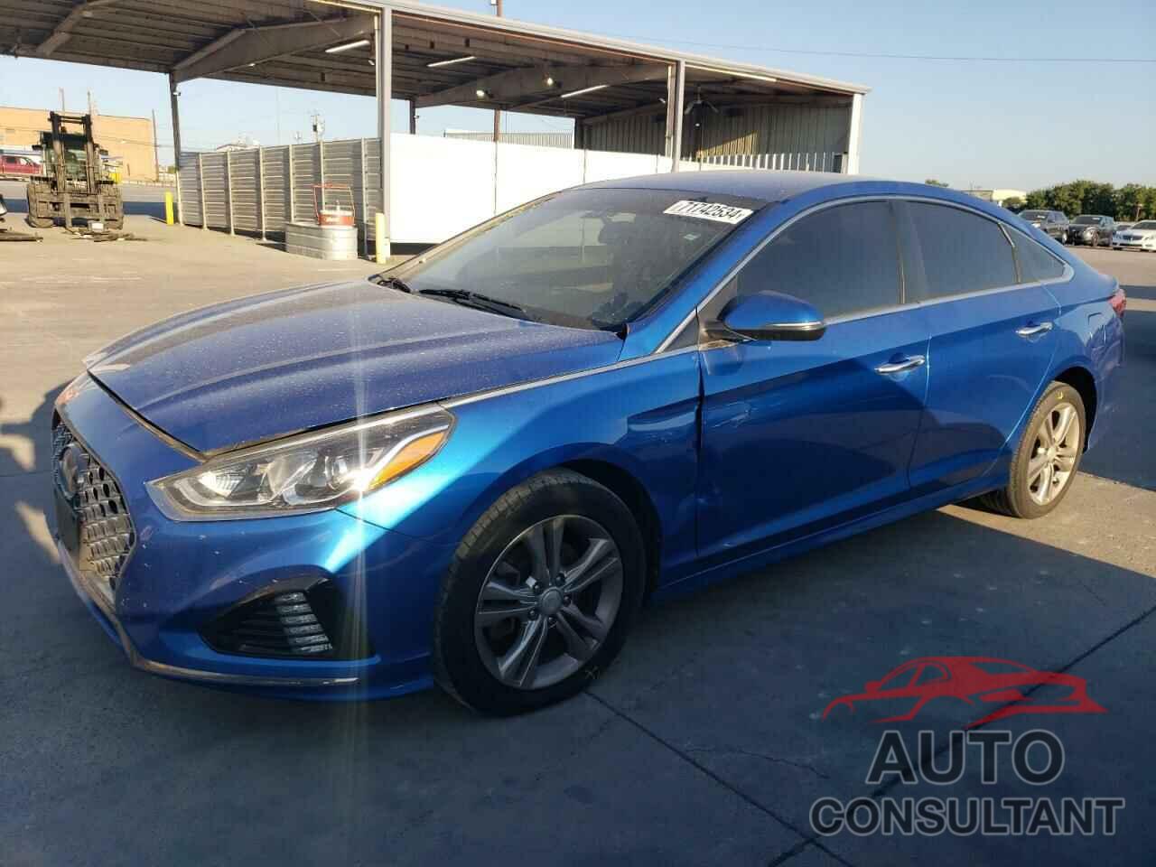 HYUNDAI SONATA 2019 - 5NPE34AF5KH777173