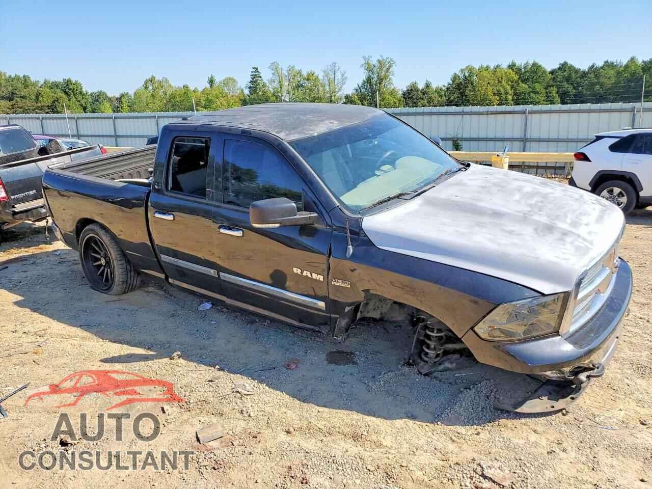 DODGE RAM 1500 2010 - 1D7RB1GT2AS125889