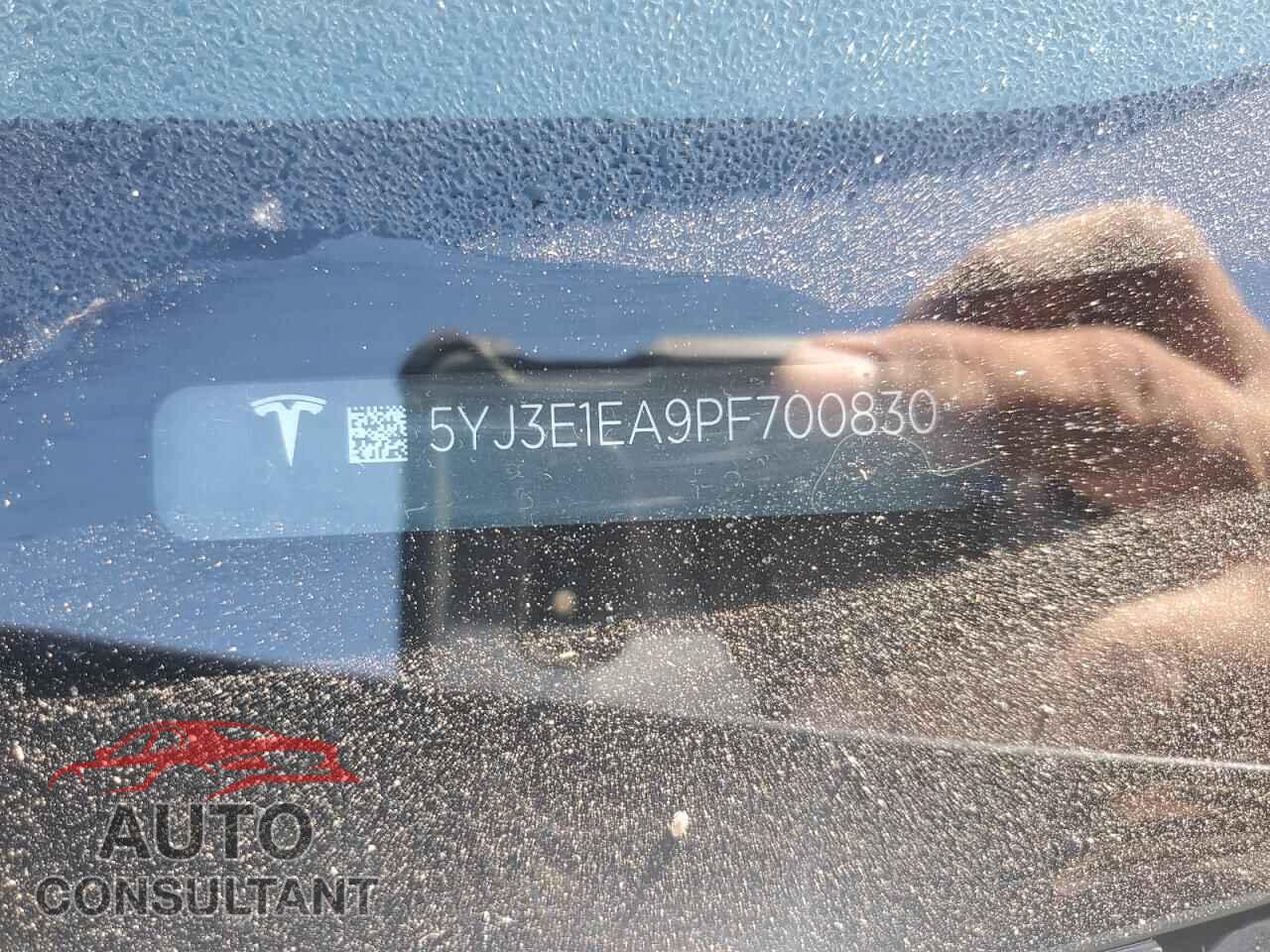 TESLA MODEL 3 2023 - 5YJ3E1EA9PF700830