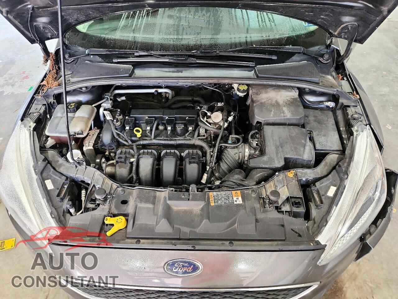 FORD FOCUS 2016 - 1FADP3F21GL402809