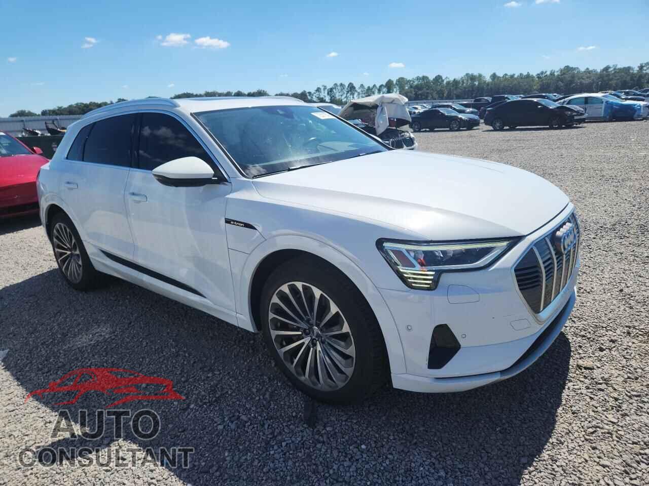 AUDI E-TRON 2019 - WA1VAAGE1KB024979