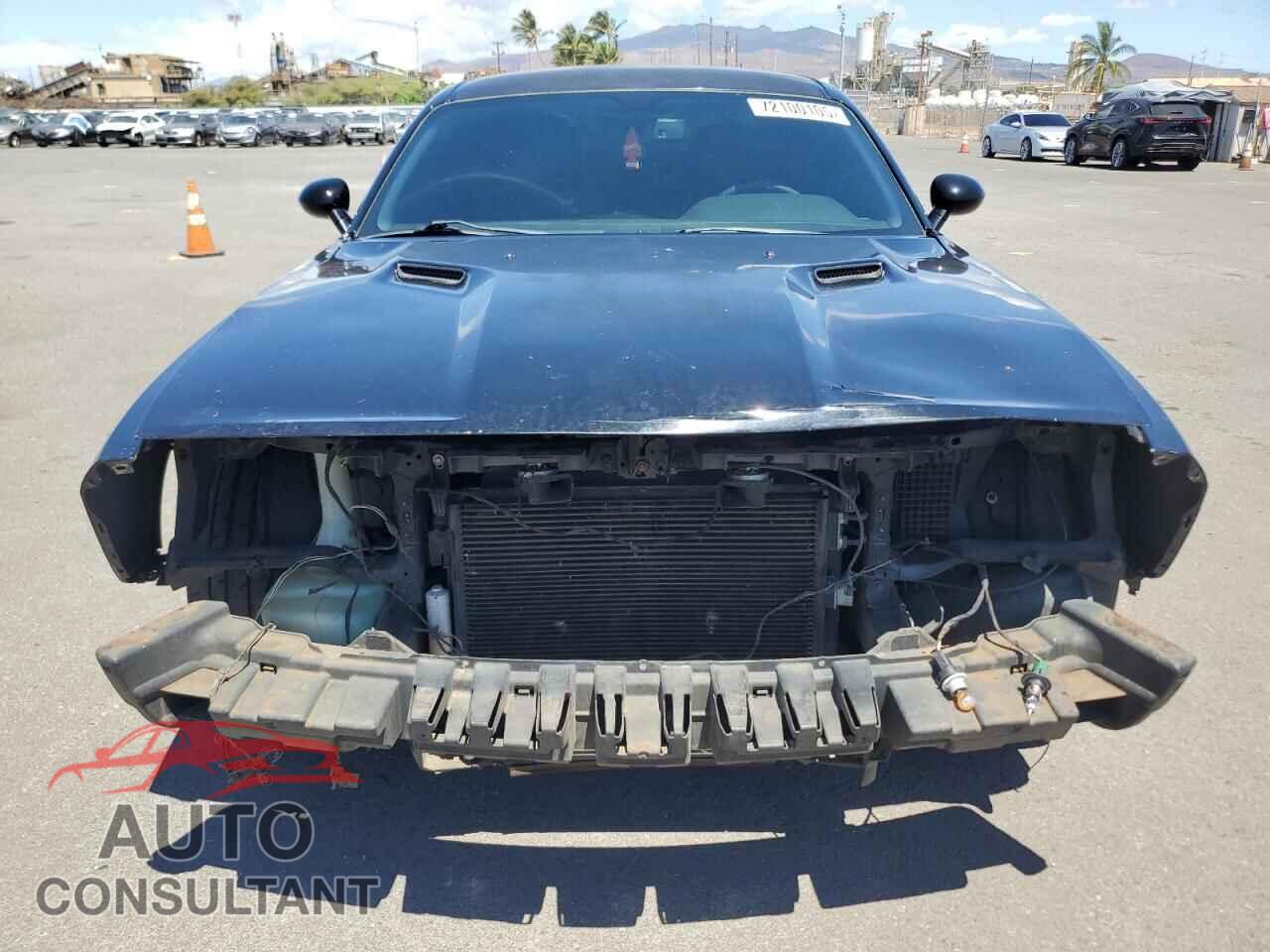 DODGE CHALLENGER 2013 - 2C3CDYAG0DH569643