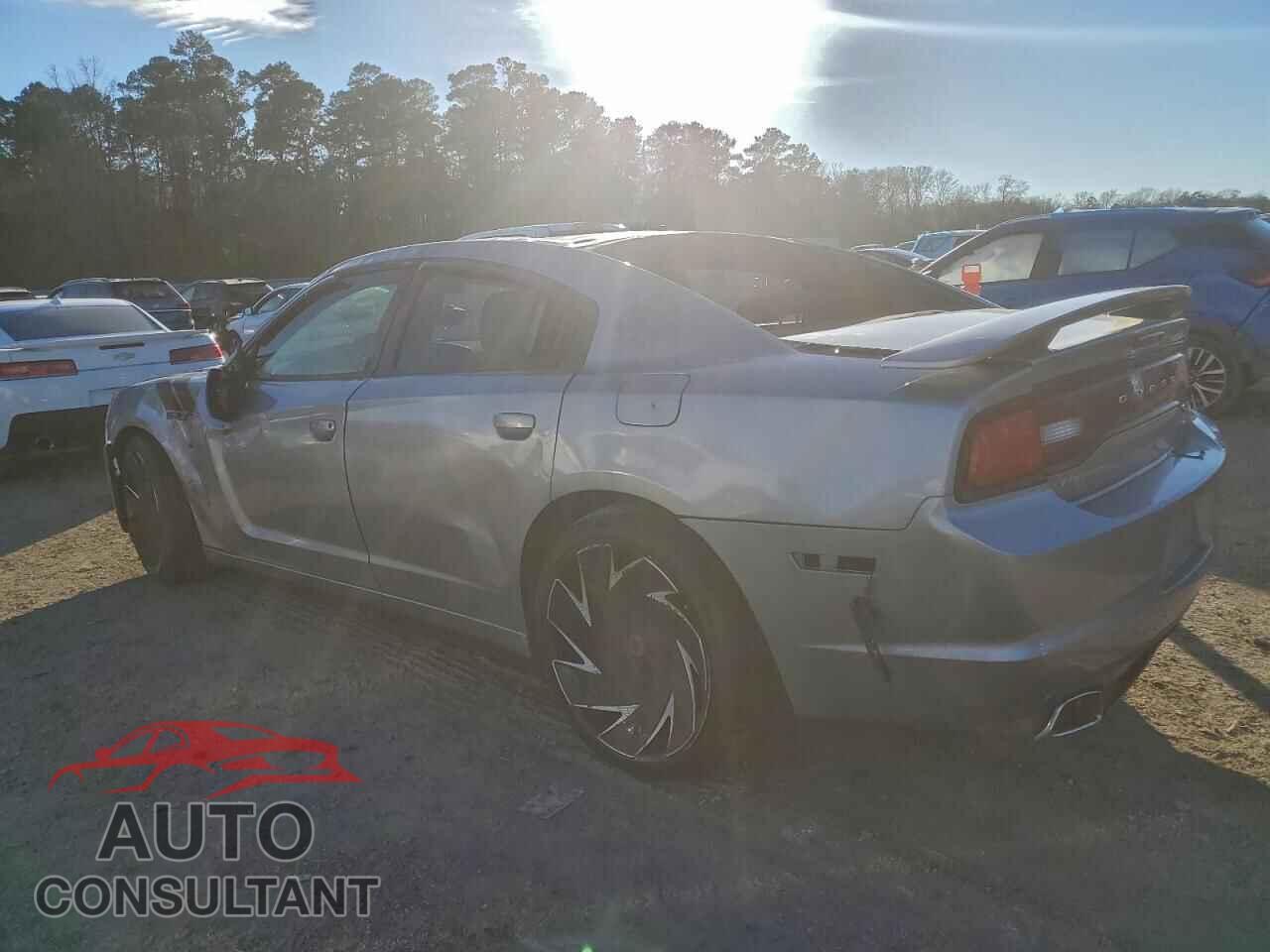 DODGE CHARGER 2013 - 2C3CDXCT1DH645018