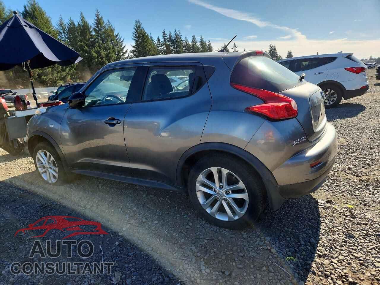 NISSAN JUKE 2014 - JN8AF5MV0ET484932
